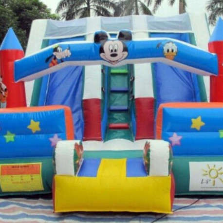 Doppio Scivolo Topolino 2